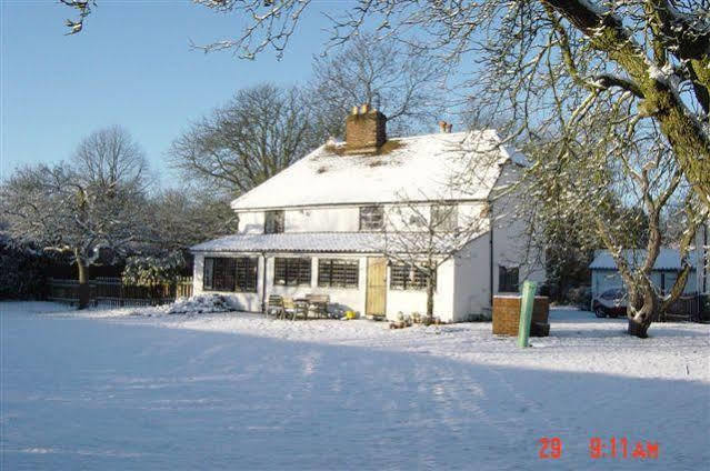 The White House Bed and Breakfast Takeley Buitenkant foto