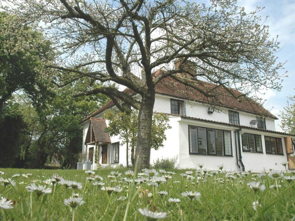 The White House Bed and Breakfast Takeley Kamer foto